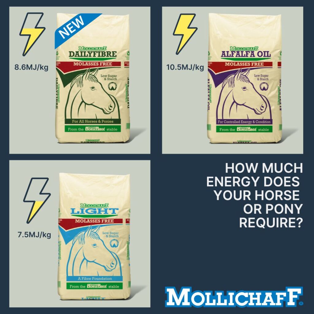 Mollichaff Molasses Free Range: Options for Every Horse