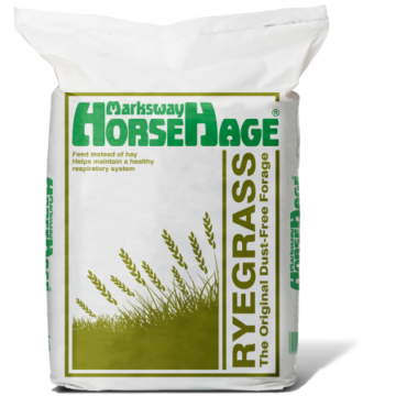 HorseHage Ryegrass