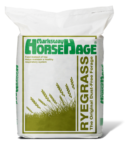 HorseHage Ryegrass